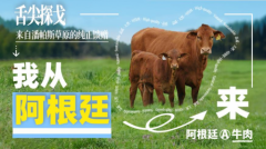 阿根廷牛肉健康营养季圆满收官，推